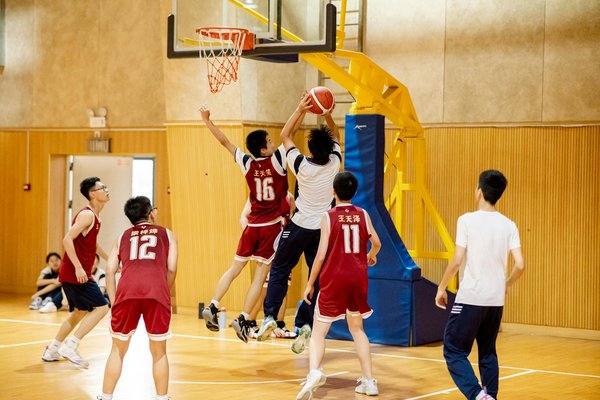 Tirage horizontal : renforcez votre dos et corrigez votre posture